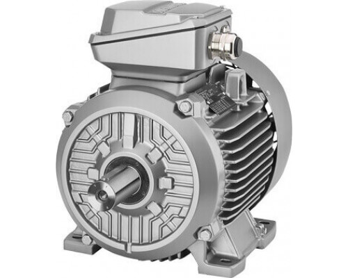 1MB1511-1BC2.-.... Серия чугунных 1MB15 und 1MB16 - Самовентилируемый