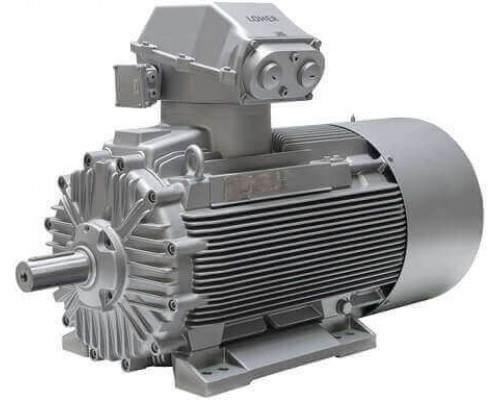 1MD5071-1BD..-4BA1 Двигатель Siemens в чугунном корпусе 1MD5 с самовентиляцией