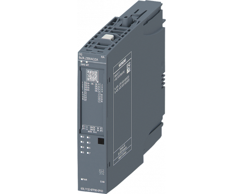 6DL1132-6FF00-0PK0